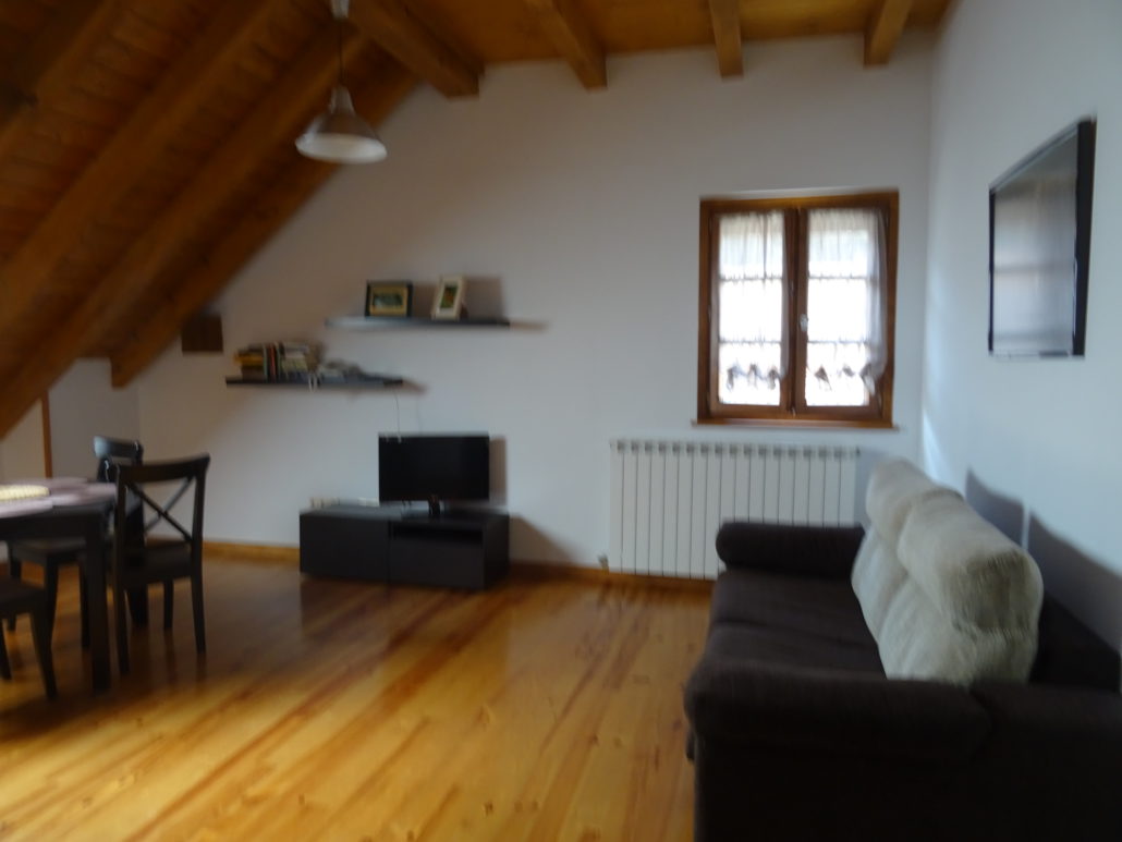 Rincón del salón del apartamento de 1 habitación en la Selva de Irati