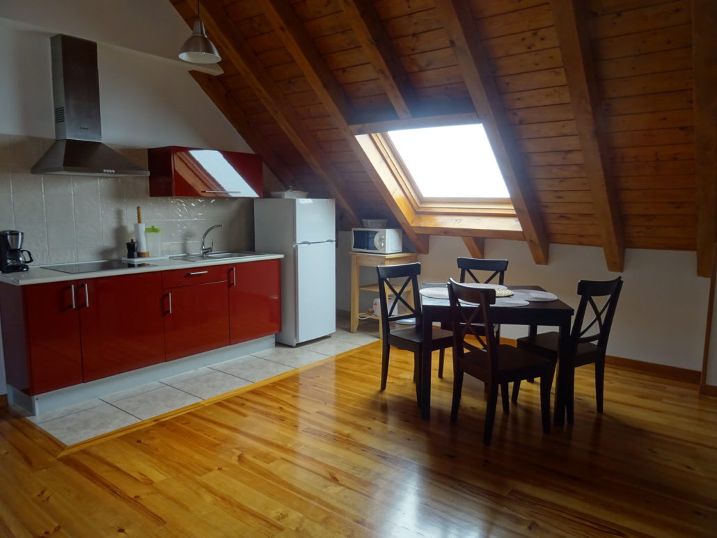 Cocina del apartamento de 1 habitación en la Selva de Irati